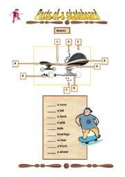 Parts of a skateboard