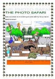 English Worksheet: THE PHOTO SAFARI