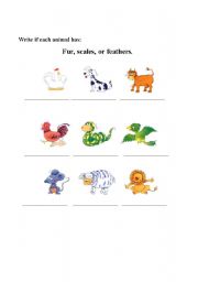 English worksheet: FUR, SCALES OR FEATHERS