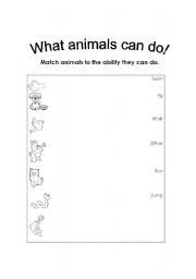 English worksheet: Animals Can Do