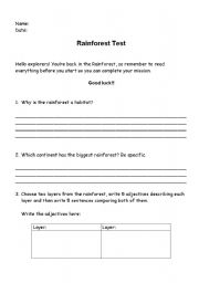 English Worksheet: rainforest test