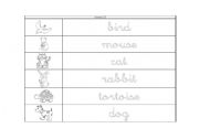 English worksheet: Animals