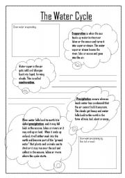 English Worksheet: Water Cycle