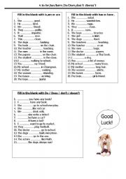English Worksheet: v.tobe,has/have,Do/Does,dont/doesnt