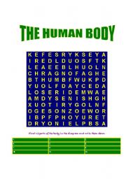English Worksheet: THE HUMAN BODY. 
