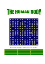 English worksheet: THE HUMAN BODY. 