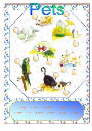 English Worksheet: Pets
