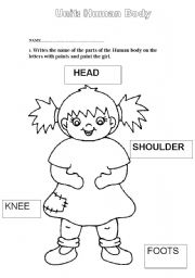 English Worksheet: human body