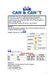 CAN & CANT
