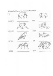 English worksheet: ANIMALS