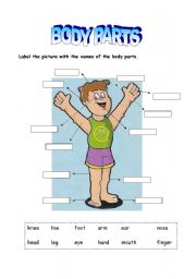English Worksheet: Body parts - Boy