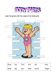 English Worksheet: Body parts - Girl