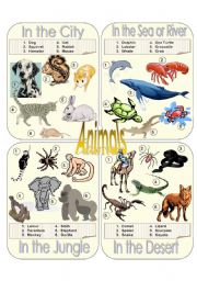 Animals Picture Dictionary Part 1