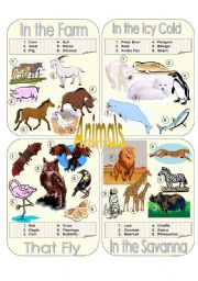 English Worksheet: Animals Picture Dictionary Part 2