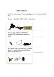 English worksheet: LIVING THINGS