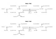 English Worksheet: family tree