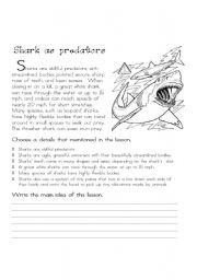 English Worksheet: Sharks as predators