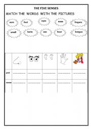 English Worksheet: the five senses