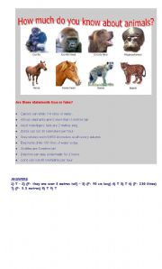 English worksheet: Quizz about animals