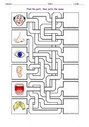 English Worksheet: FACE MAZE