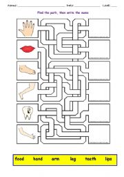 English Worksheet: BODY MAZE