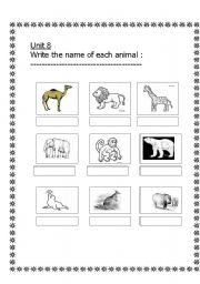 English worksheet: animals