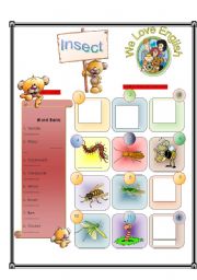 English Worksheet: Insect -  Match Part 2/2