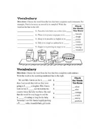 English Worksheet: Vocabulary