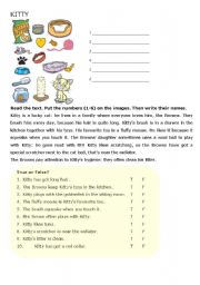 English Worksheet: A Lucky Cat