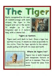 English Worksheet: The Tiger