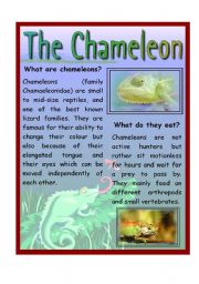 English Worksheet: The Chameleon