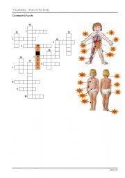 English Worksheet: Parts of the Body