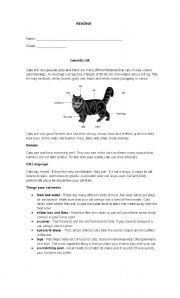 English Worksheet: Reading