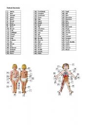 English Worksheet: Parts of the body - 1 of 3