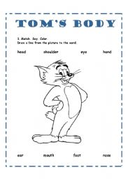 English Worksheet: Toms Body