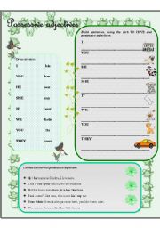 Possessive adjectives