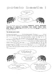 English Worksheet: COLORADO POTATO BUG