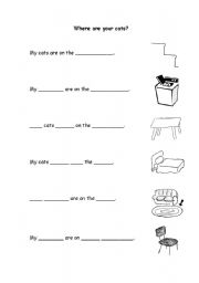 English Worksheet: Where are your cats?