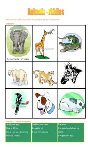 English Worksheet: ANIMALS - riddles