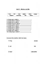 English worksheet: Animals