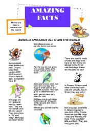 English Worksheet: amazing facts