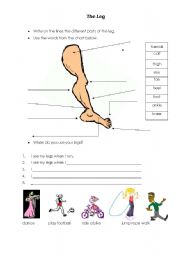 English worksheet: The Leg