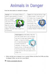 English Worksheet: Animals in Danger