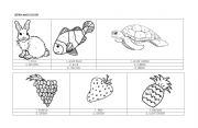 English worksheet: Listen and color_animals