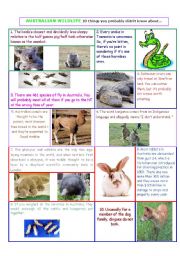 English Worksheet: Australian Wildlife: 10 things you probably didnt know about....(2 pages)