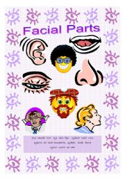 English worksheet: facial parts