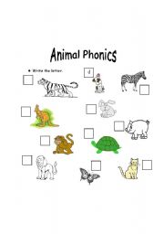 English worksheet: Animal Phonics