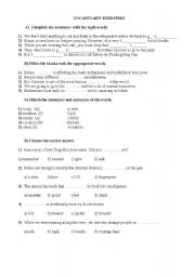 English worksheet: VOCABULARY