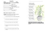 English Worksheet: since/for