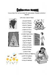 English Worksheet: Collective nouns